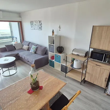 T2 Vue Sur Saint-Cyprien (Pyrenees-Orientales)